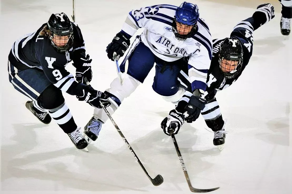 вилки на хоккей