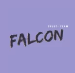 Falcon - отзывы о каппере в Телеграмм
