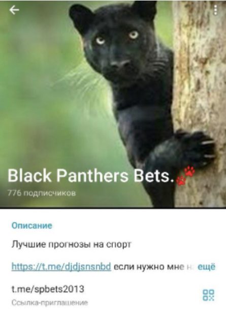 Black Panthers Bets в Телеграмм