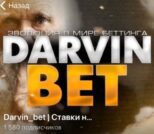 Darvin Bet – Телеграмм канал