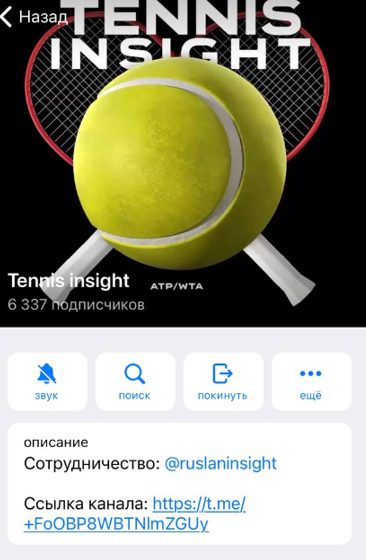 Tennis insight в Телеграмме