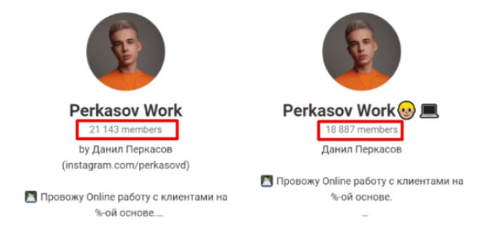Perkasov Work Телеграмм