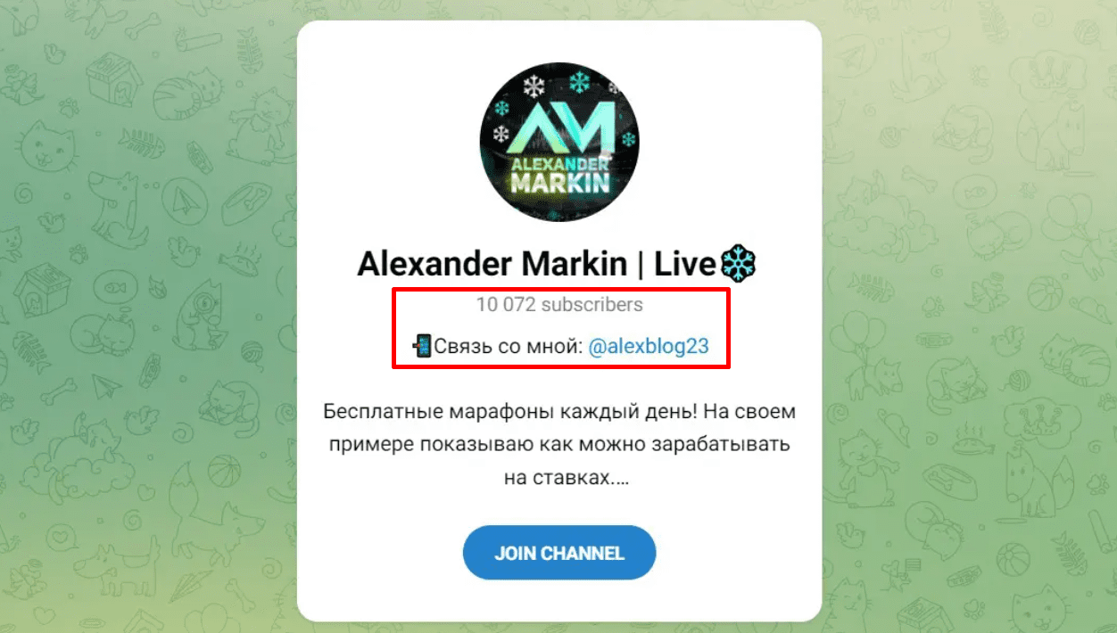 alexander markin live