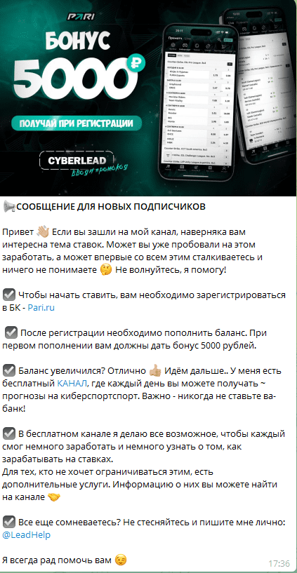 cyberlead