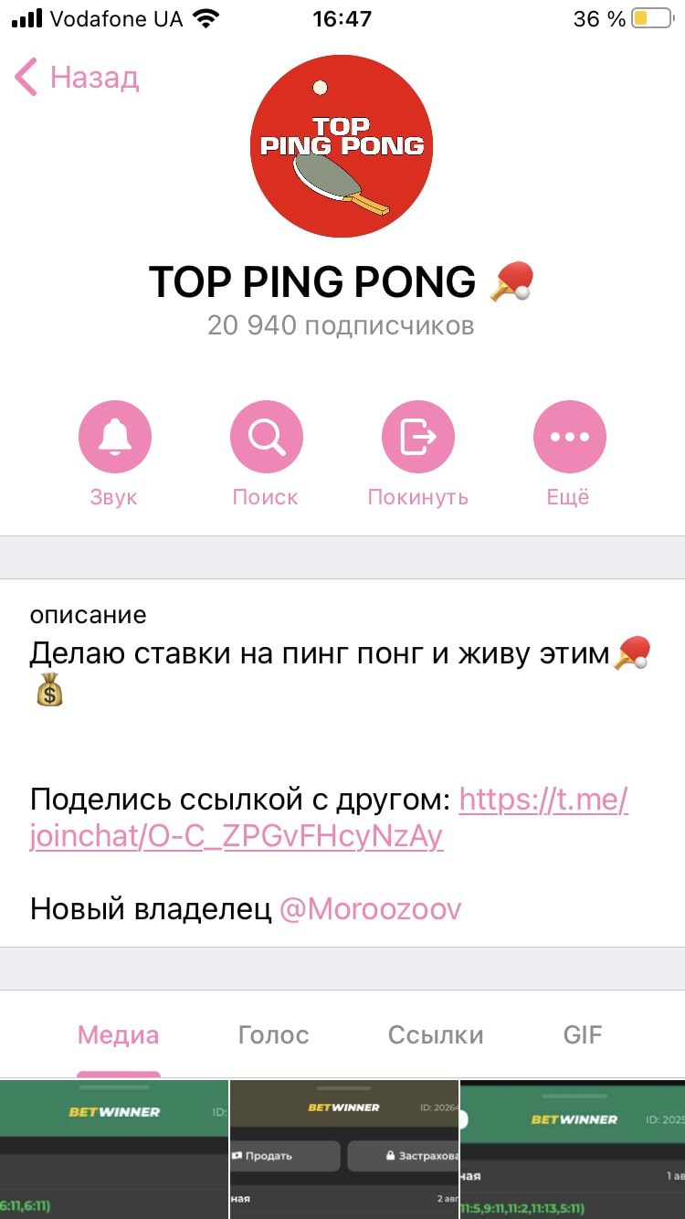 TOP PING PONG - Телеграмм канал