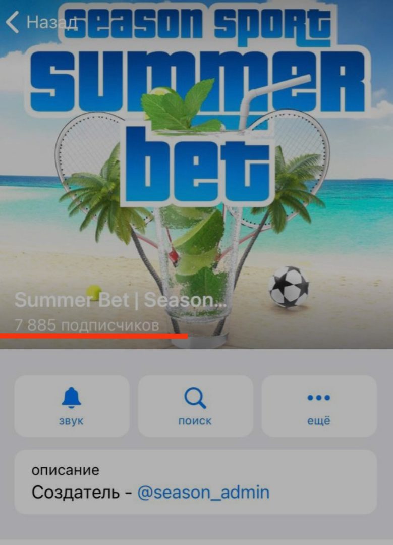 Телеграм канал Summer bet