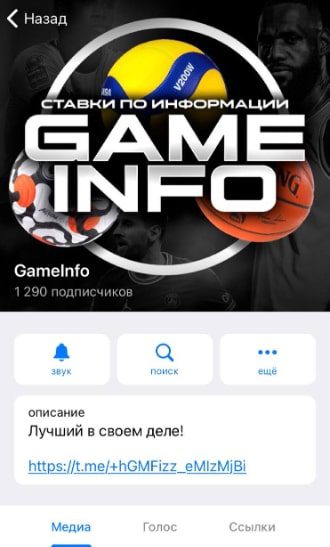 Телеграмм GameInfo