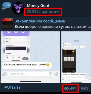 Просмотры и подписчики Телеграм Money Goat
