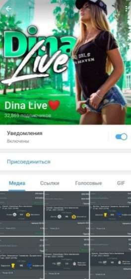 Телеграмм Dina Live
