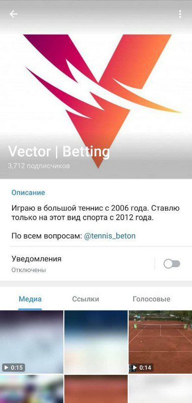 Телеграм Vector Betting