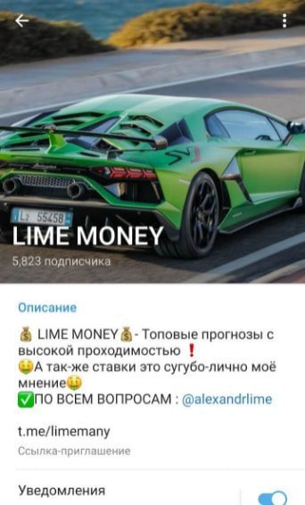 Телеграмм LIME MONEY