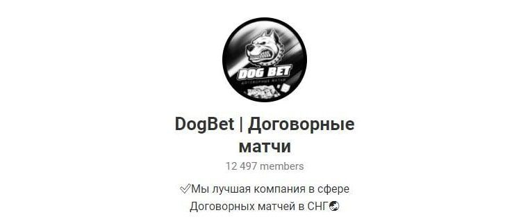 DogBet | Договорные матчи