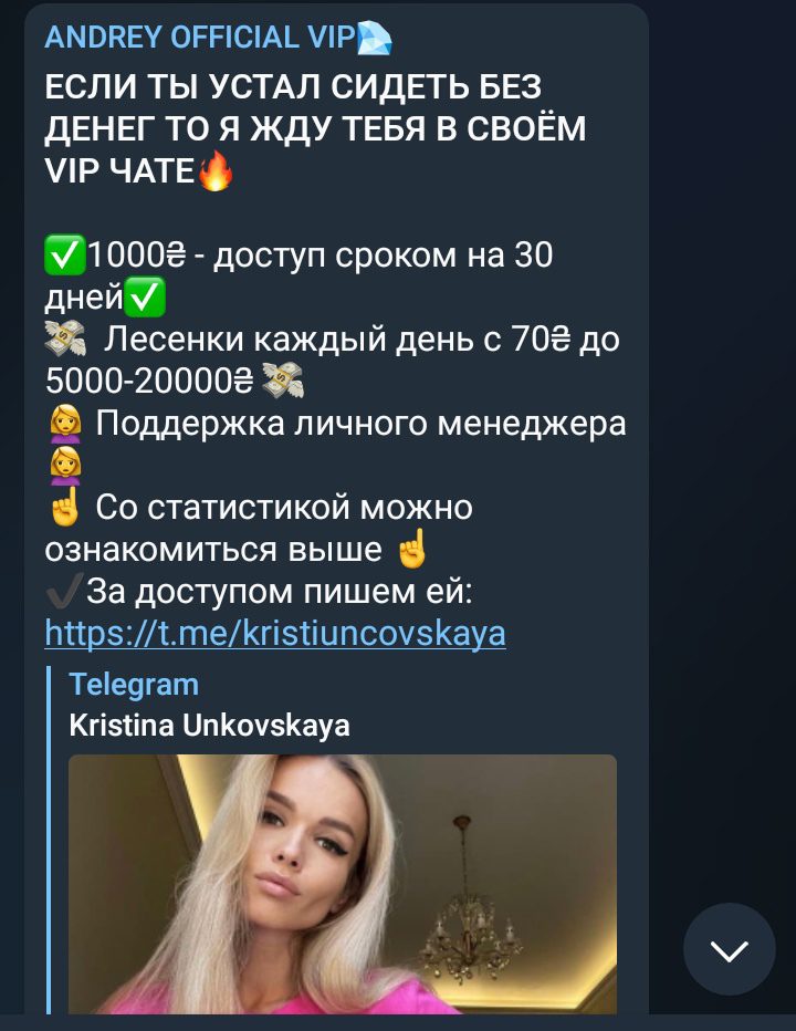 Цены на АНДРЕЙ КНЯЗЕВ VIP telegram