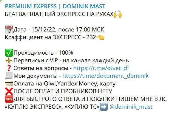 PREMIUM EXPRESS DOMINIK MAST платные экспрессы