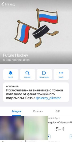 Проект Future Hockey