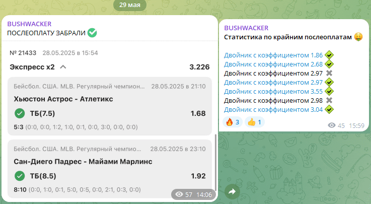 Результаты двойников на послеоплату