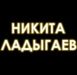Никита Ладыгаев лого