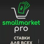 SMALLMARKET.PRO лого