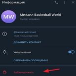 Стратегия на Баскетбол Ставки