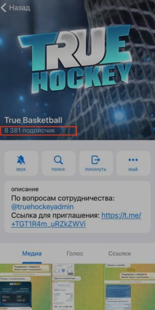 Телеграм канала True Basketball