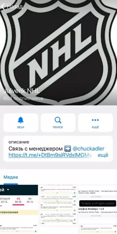 Телеграмм Julverik NHL