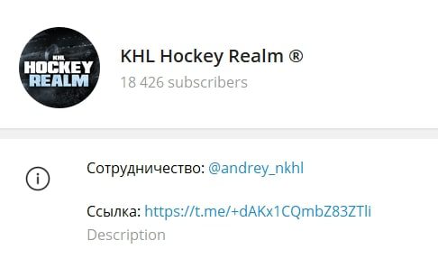 Телеграмм канал ANDREY KHL Hockey Realm