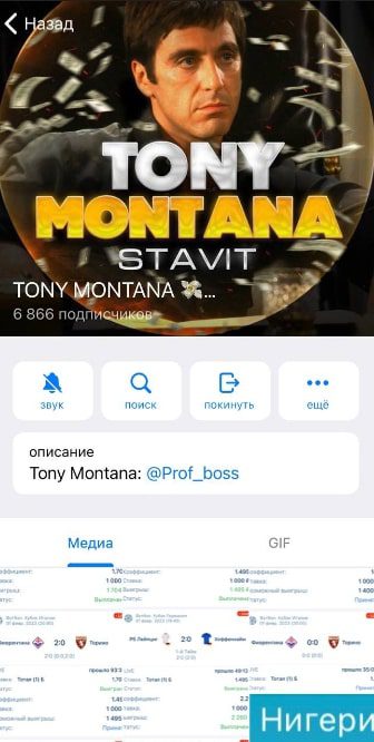TONY MONTANA телеграмм