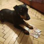 Вадим Антонов Каппер