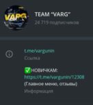 Team VARG
