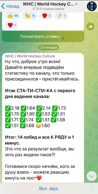 World Hockey Culture статистика