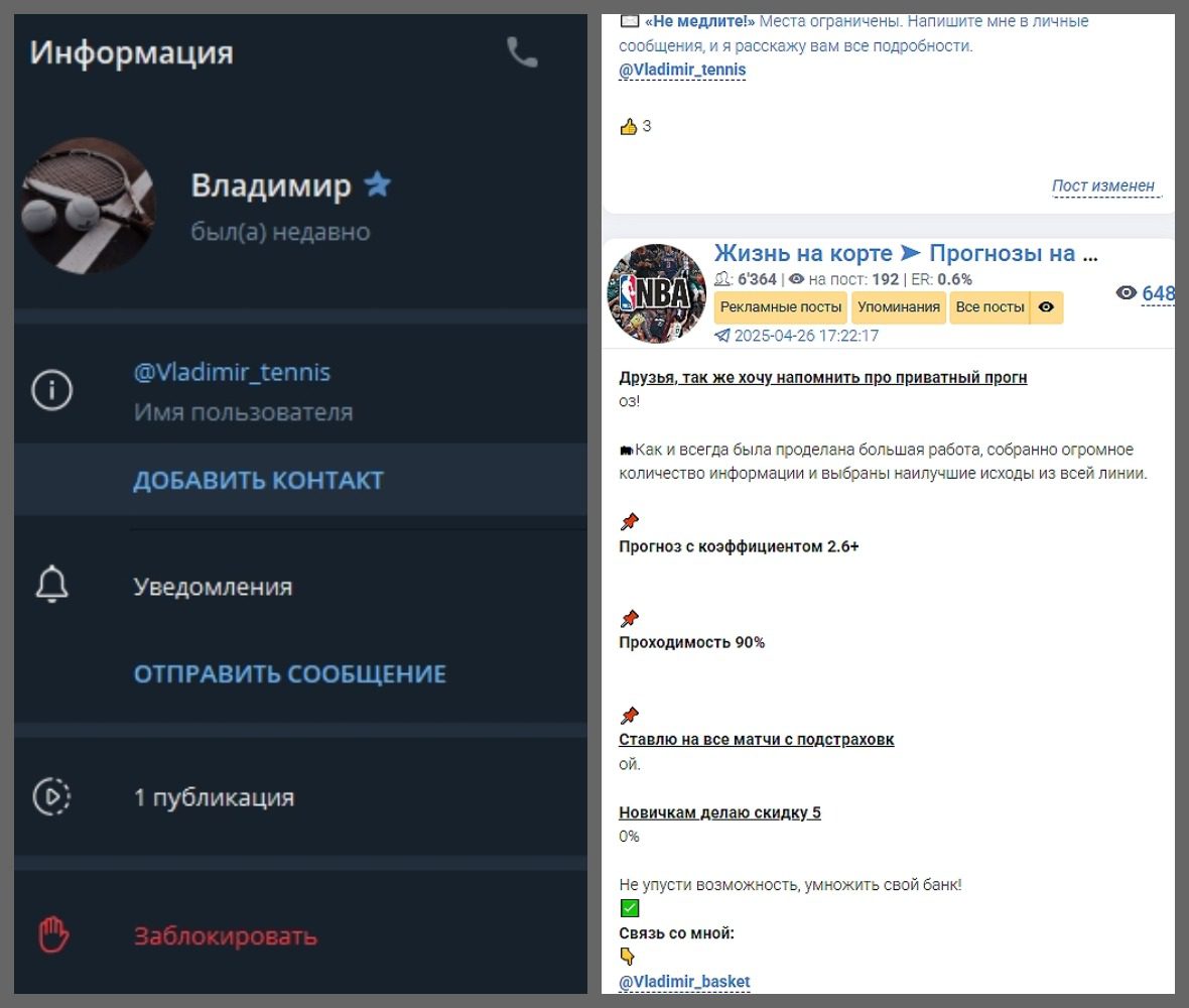 Жизнь на корте Прогнозы на теннис